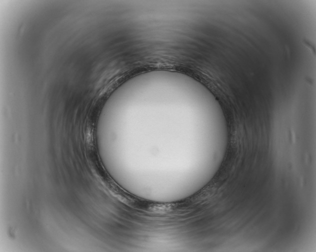 X0000102790084200808181003