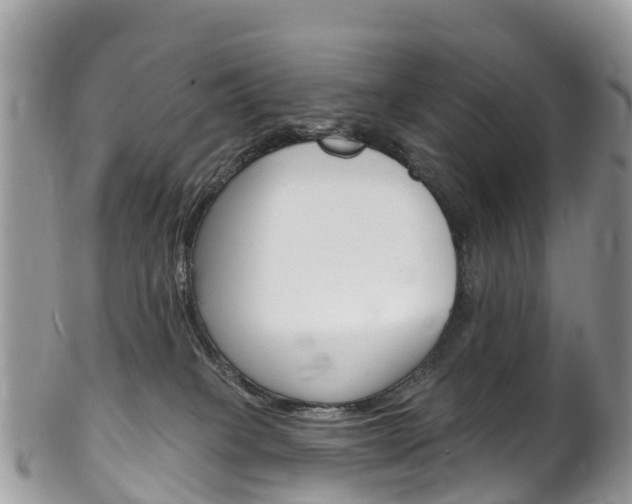 X0000102790085200808181003
