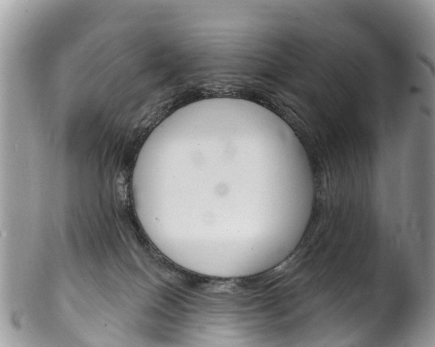 X0000102790086200808181003
