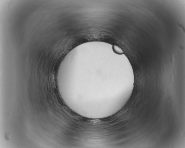 X0000102790087200808181003