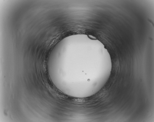 X0000102790088200808181003