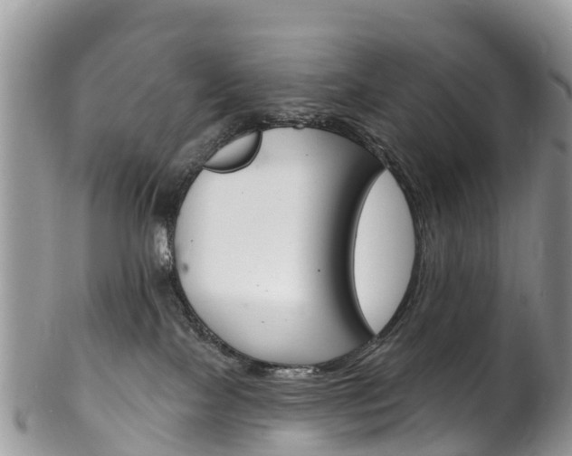 X0000102790089200808181003