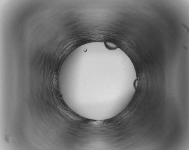 X0000102790092200808181003