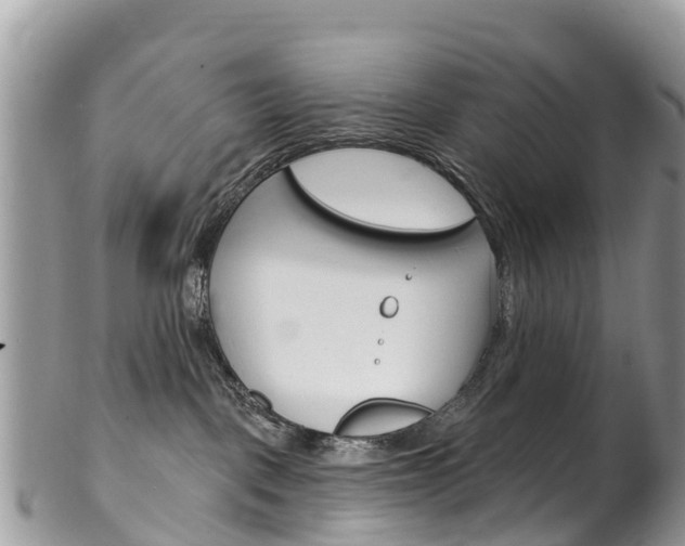 X0000102790093200808181003