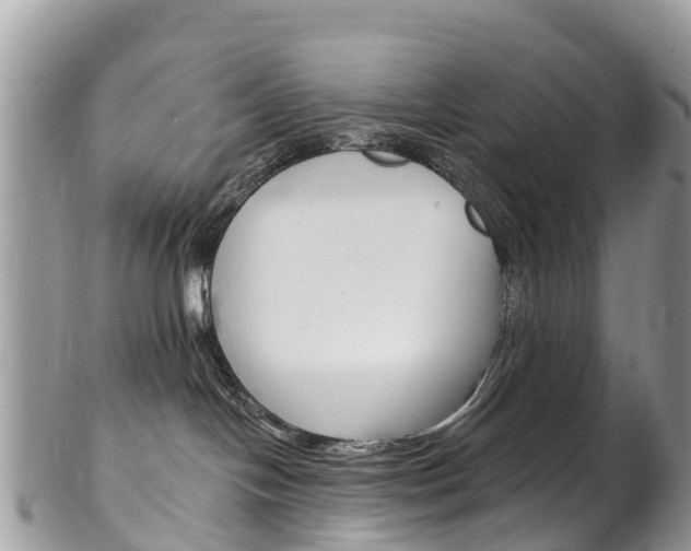 X0000102790094200808181003