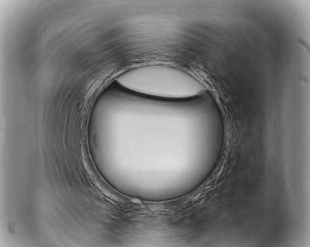 X0000102790097200808181002