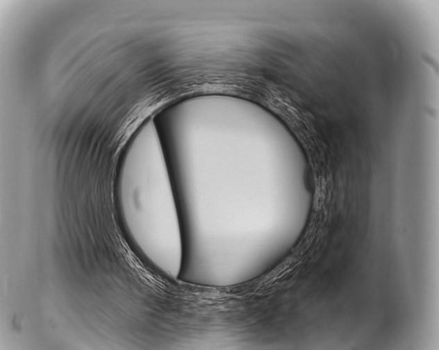 X0000102790098200808181002