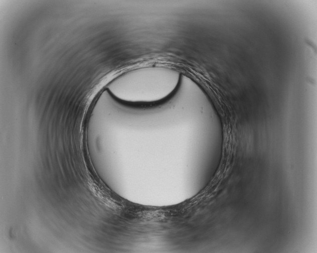 X0000102790100200808181002