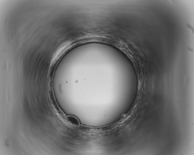X0000102790101200808181002