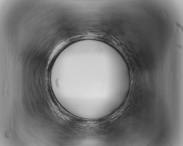 X0000102790102200808181002