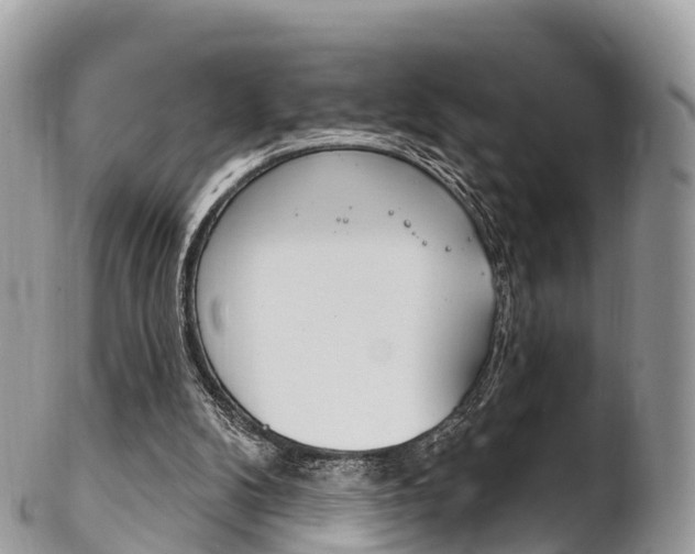 X0000102790104200808181002