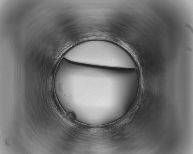 X0000102790105200808181002