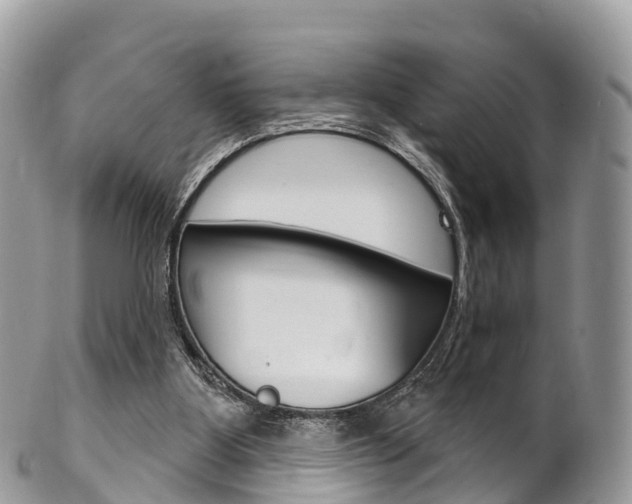 X0000102790107200808181002