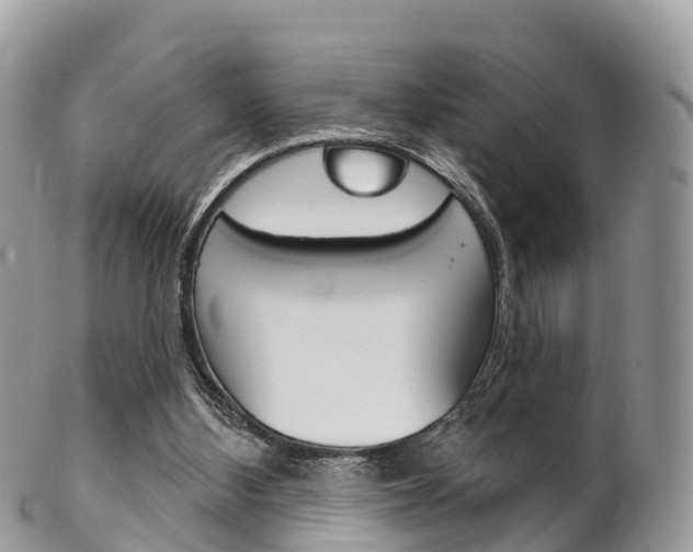 X0000102790108200808181002