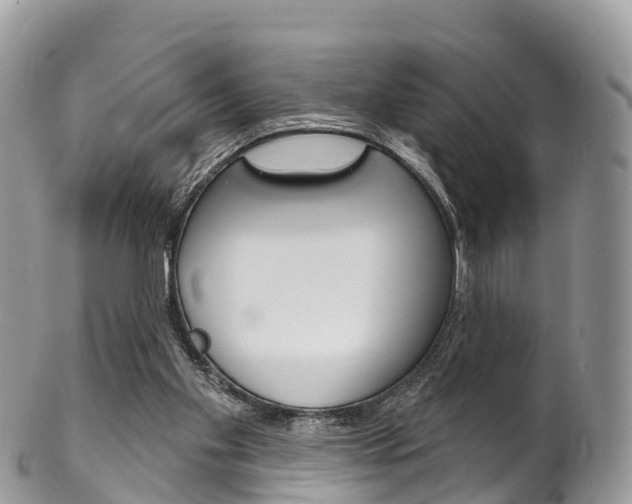 X0000102790109200808181002