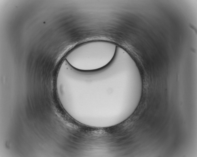 X0000102790112200808181002