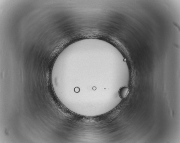 X0000102790113200808181002