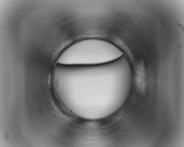 X0000102790115200808181002