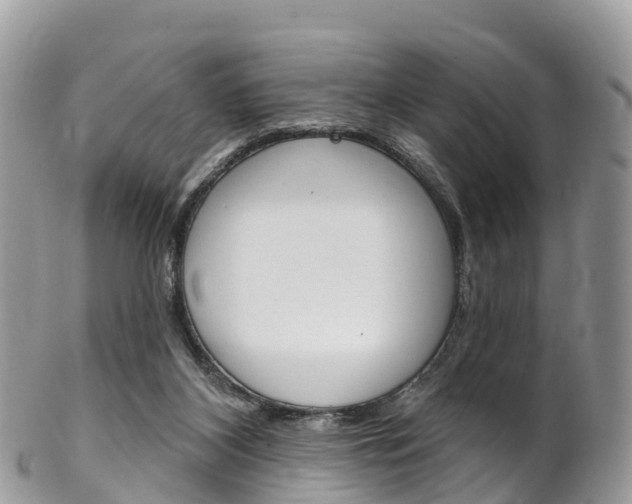X0000102790116200808181002