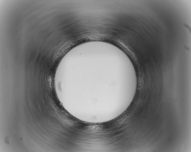 X0000102790117200808181002