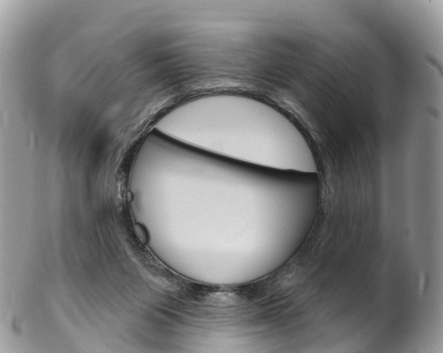 X0000102790119200808181002