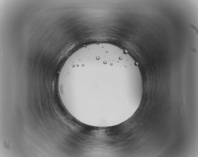 X0000102790120200808181002