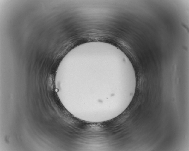 X0000102790121200808181002