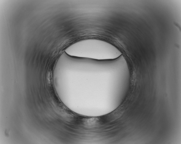 X0000102790122200808181002