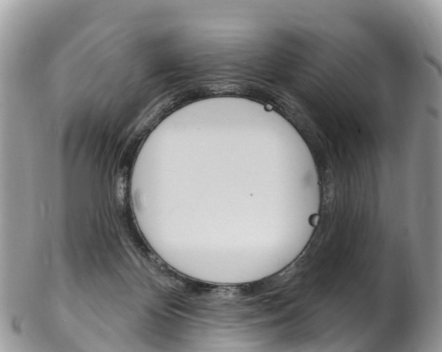 X0000102790124200808181002