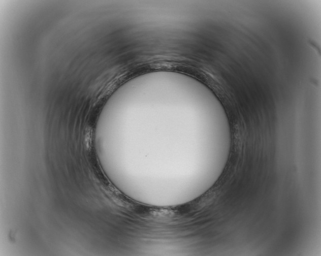 X0000102790125200808181002