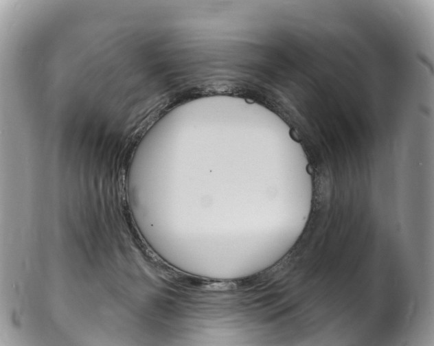X0000102790126200808181002
