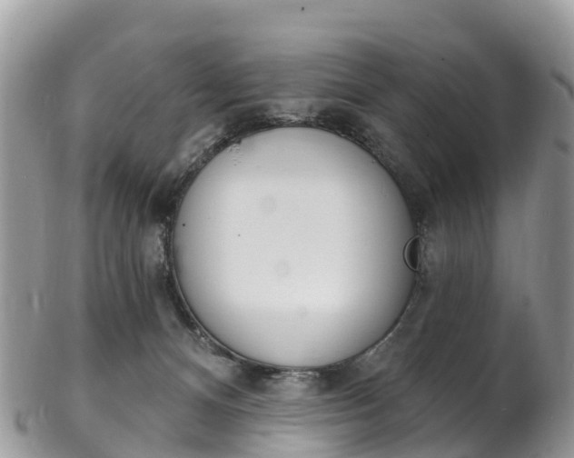 X0000102790128200808181002