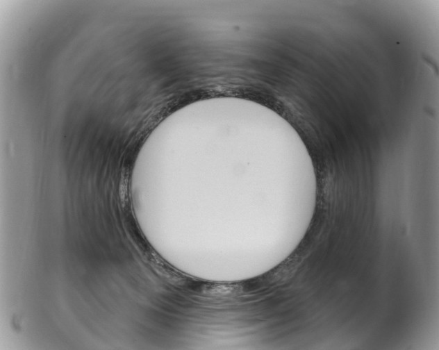 X0000102790129200808181002