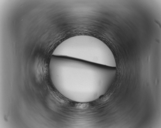 X0000102790135200808181002
