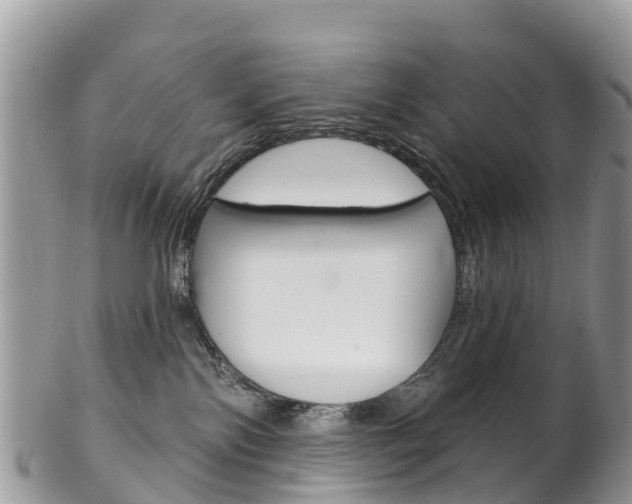 X0000102790138200808181002