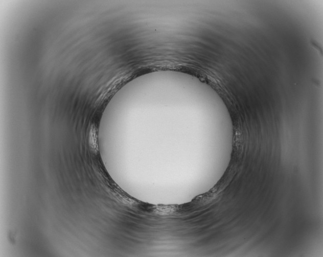 X0000102790143200808181002