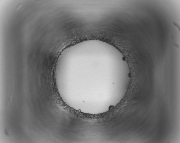 X0000102790144200808181002
