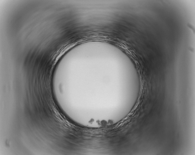 X0000102790146200808181001