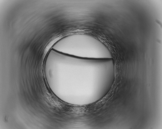 X0000102790147200808181001
