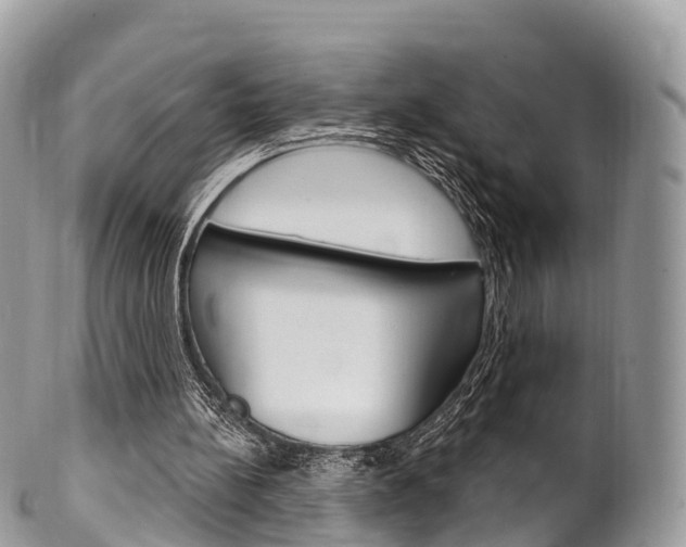 X0000102790148200808181001