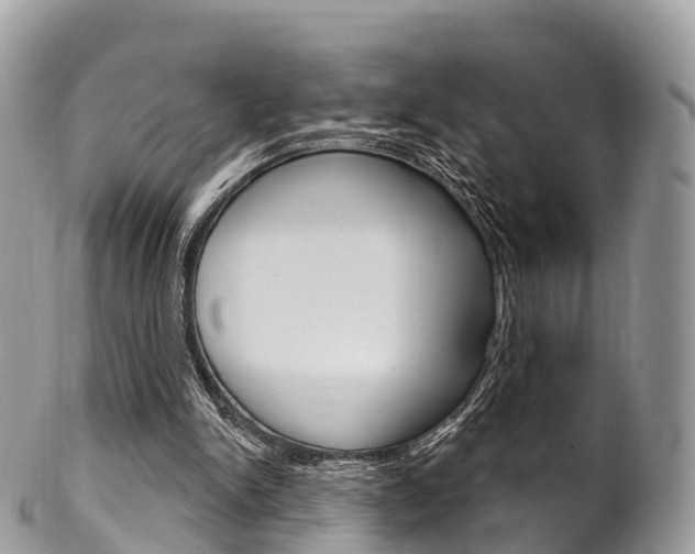 X0000102790150200808181001