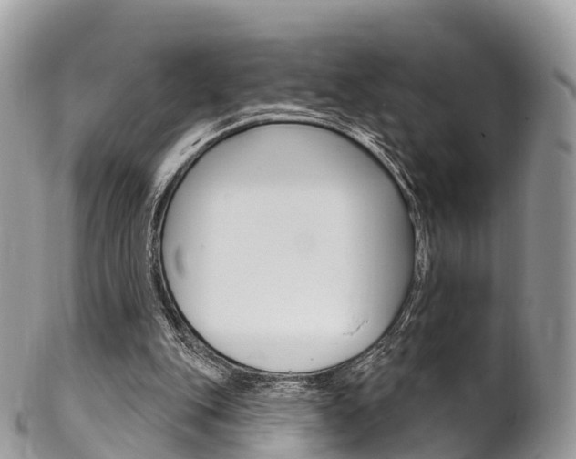 X0000102790151200808181001