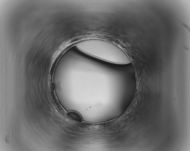 X0000102790152200808181001