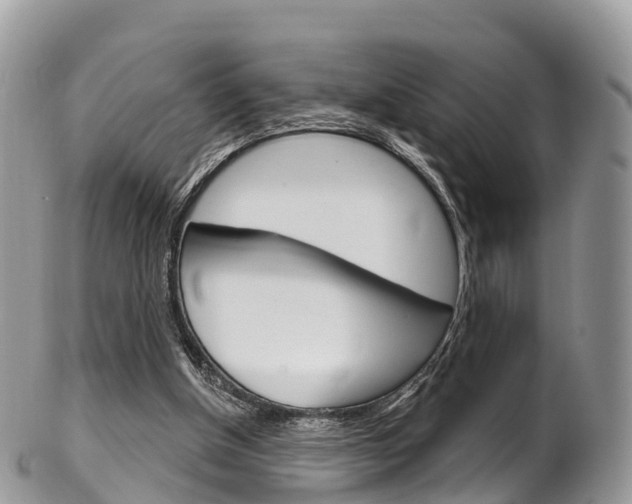 X0000102790154200808181001