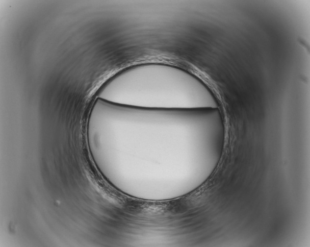 X0000102790155200808181001