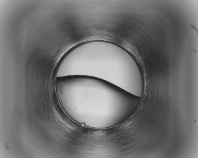 X0000102790156200808181001