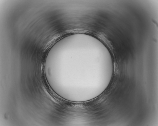 X0000102790157200808181001
