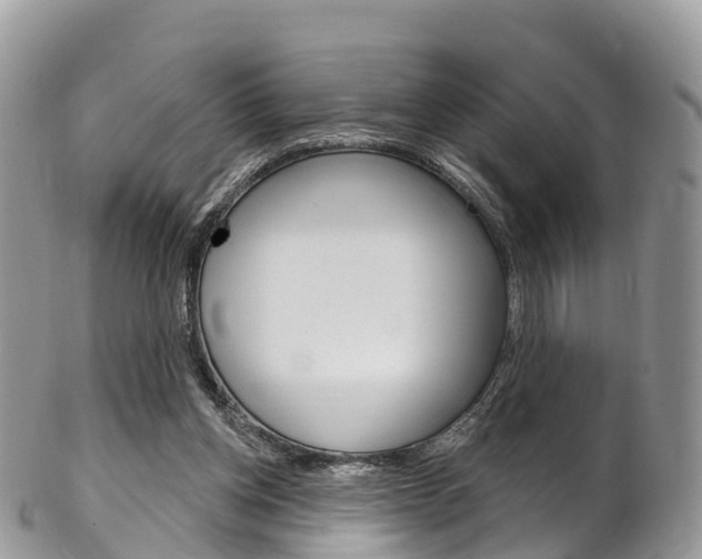 X0000102790158200808181001