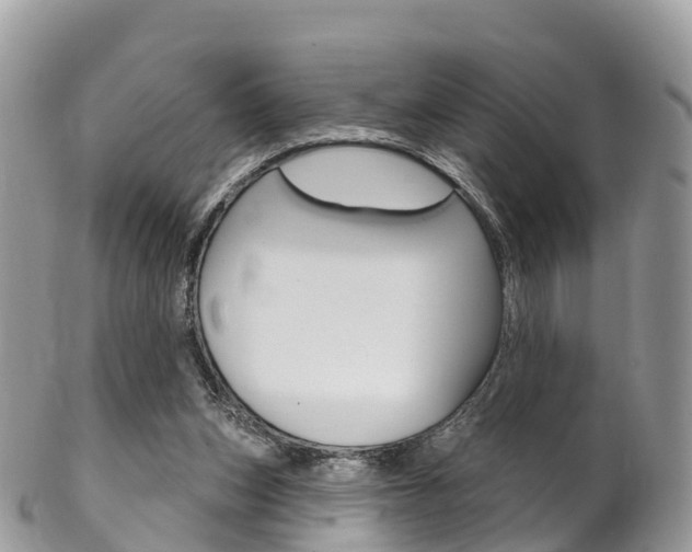 X0000102790159200808181001