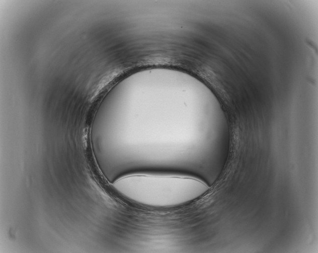 X0000102790160200808181001